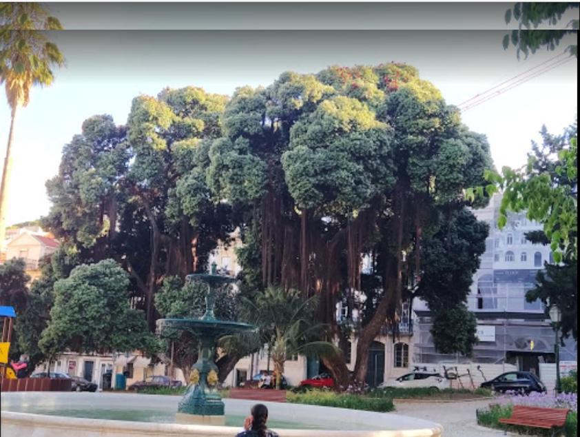 Alegramente Lisboa Exterior foto